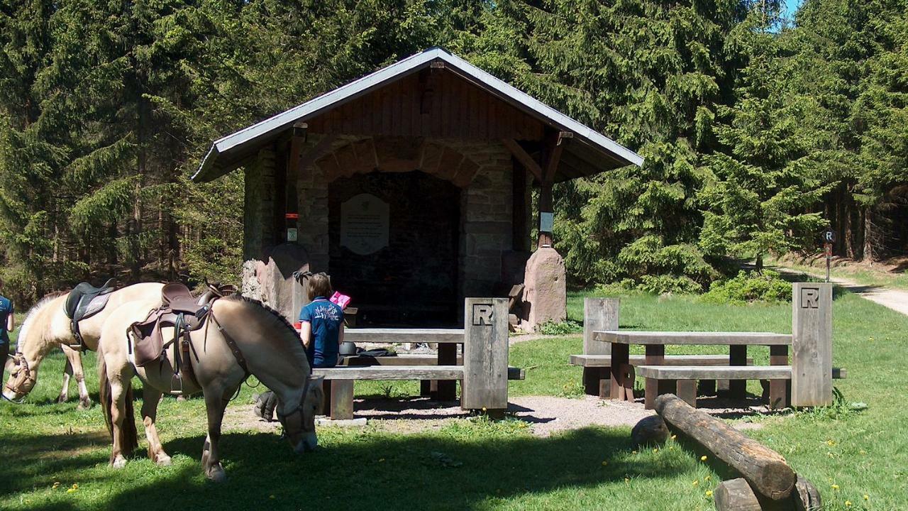 Ferienwohnung Trollmann Schmalkalden Exterior foto